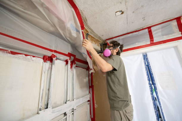 Best Mold Remediation for Healthcare Facilities  in Pioche, NV