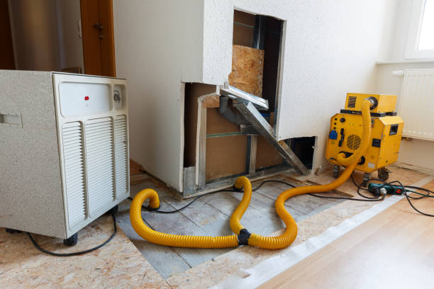 Best HVAC Mold Inspection and Cleaning  in Pioche, NV