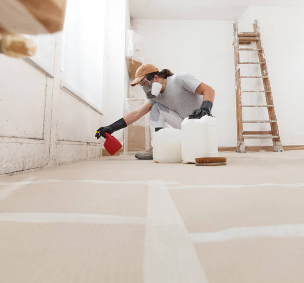 Best Industrial Mold Remediation  in Pioche, NV